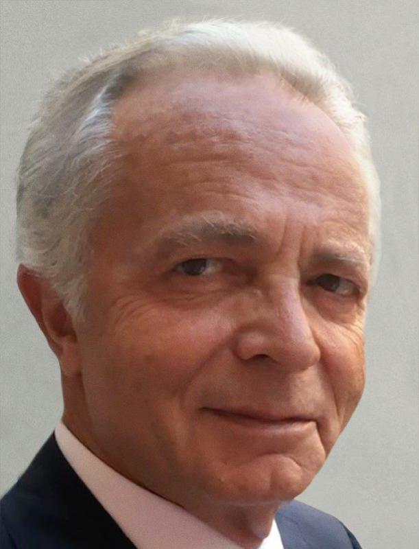 Gino Del Bon Image